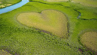 A field shaped like a heart near a river in the wild