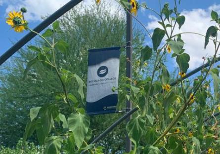 Rio Salado banner hanging from Cafe at Rio garden