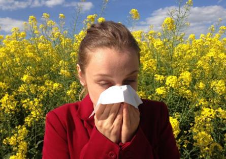 Wellness Wednesday: Attack Of The Allergens